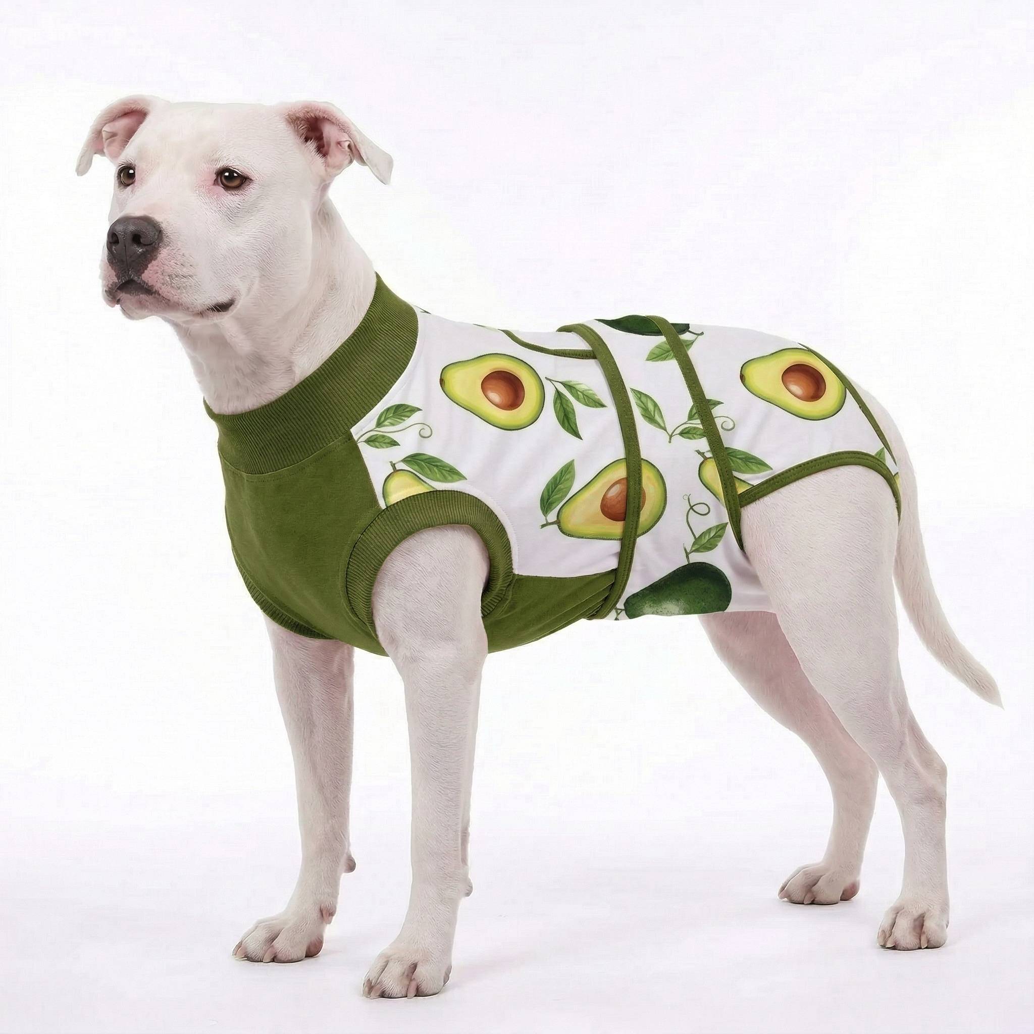 Recovery suits for male and female dogs -  Organic Veggies Prints