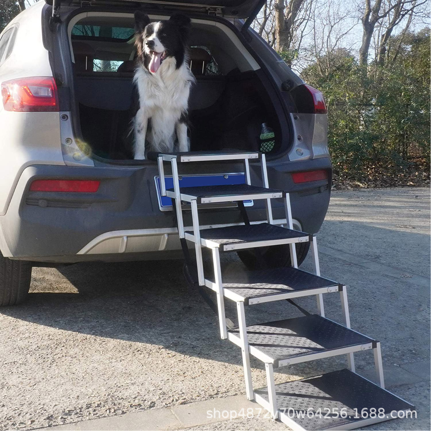 O1CN01DiVtf62FquKBpikyZ_!!2206