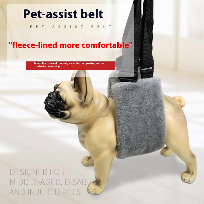 Pet auxiliary strap older dog injured dog booster stripe golden retriever/Border Collie large, medium and small elderly bracket protecting Band