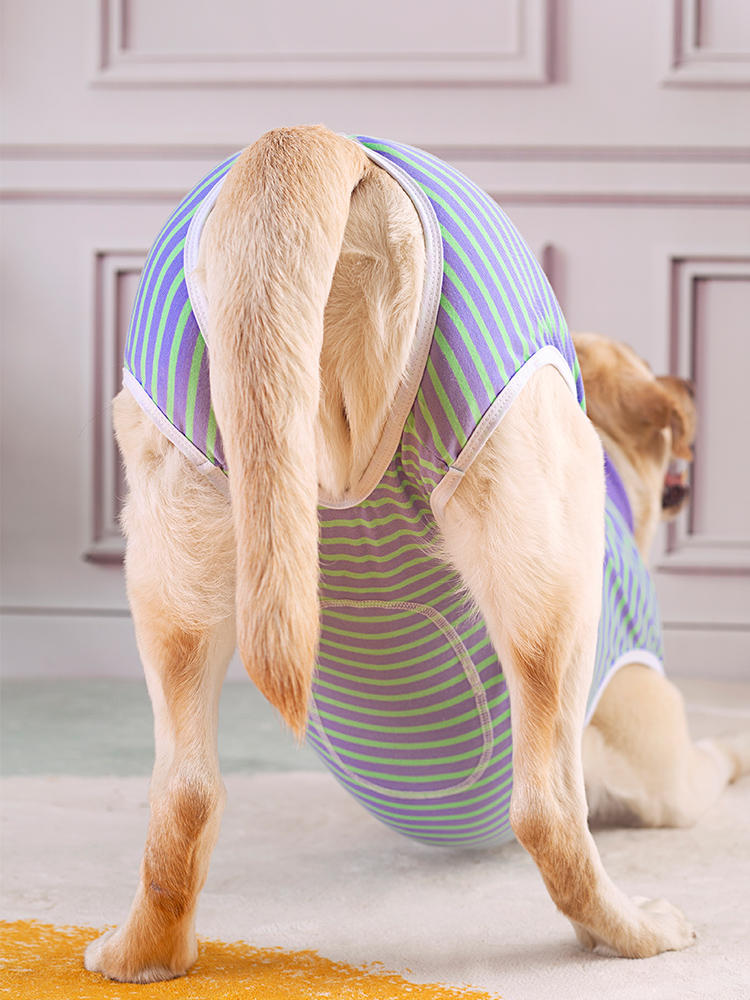 Large dog belly wrap postoperative clothing golden retriever Labrador weaning clothing belly care sterilization clothing anti-licking four-leg vest thin