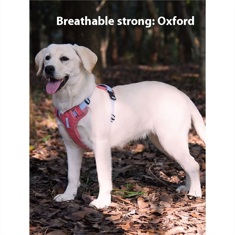 Dog hand holding rope vest-style chest strap outing strap dog harness small large dog Labrador dog leash