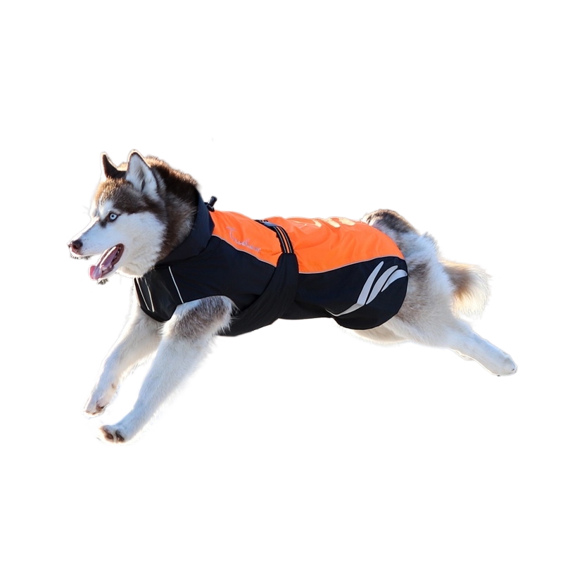 Truelove dog winter clothing autumn and winter warm thickened sweatshirt shell jacket cotton-padded thin outdoor clothes