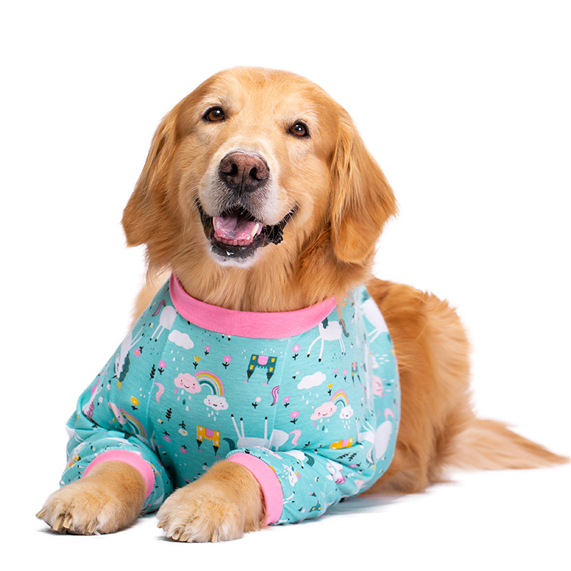 Dog clothes thin summer elbow protection joint protection clothing golden retriever Labrador medium large dog pet two feet apparel