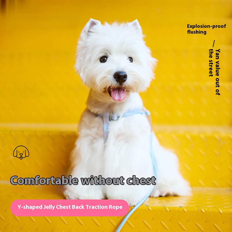 Dog hand holding rope dog leash dog chest vest strap small, medium and large dogs dog leash pet