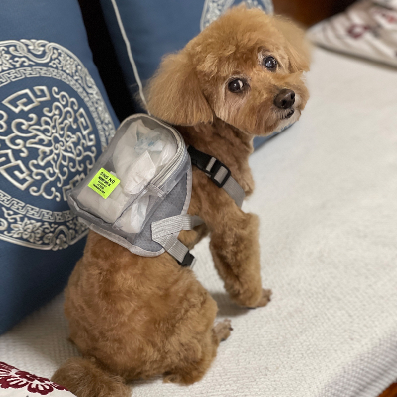 Dog Pet Dog backpack snack puppy schoolbag Teddy Bichon dog walking bag small dog mini out backpack