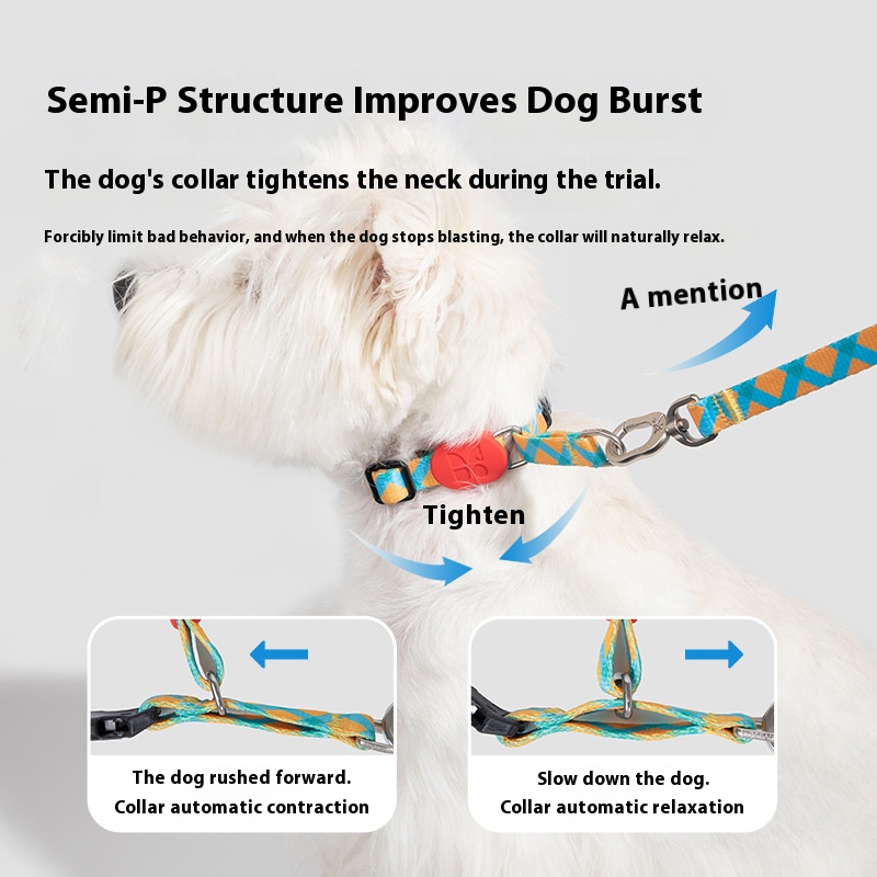 Colorful dog half P collar dog collar small dog collar dog leash walking dog hand holding rope