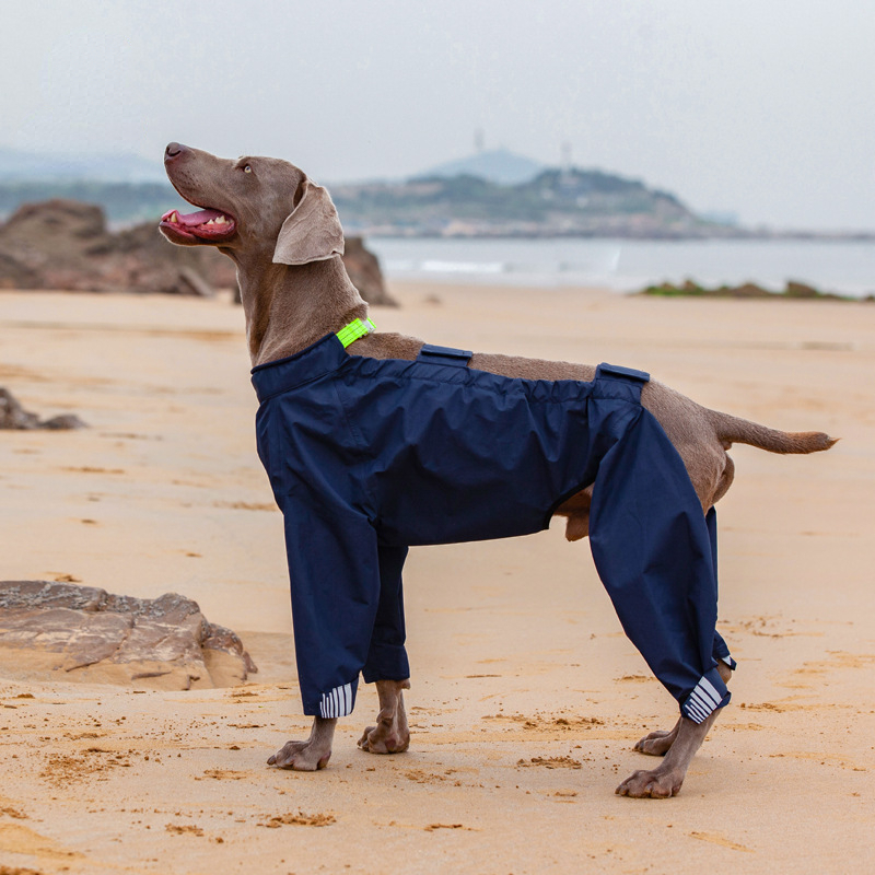 Waterproof Four-Legged Dog Raincoat with Hood - High Quality & Reflective Strip