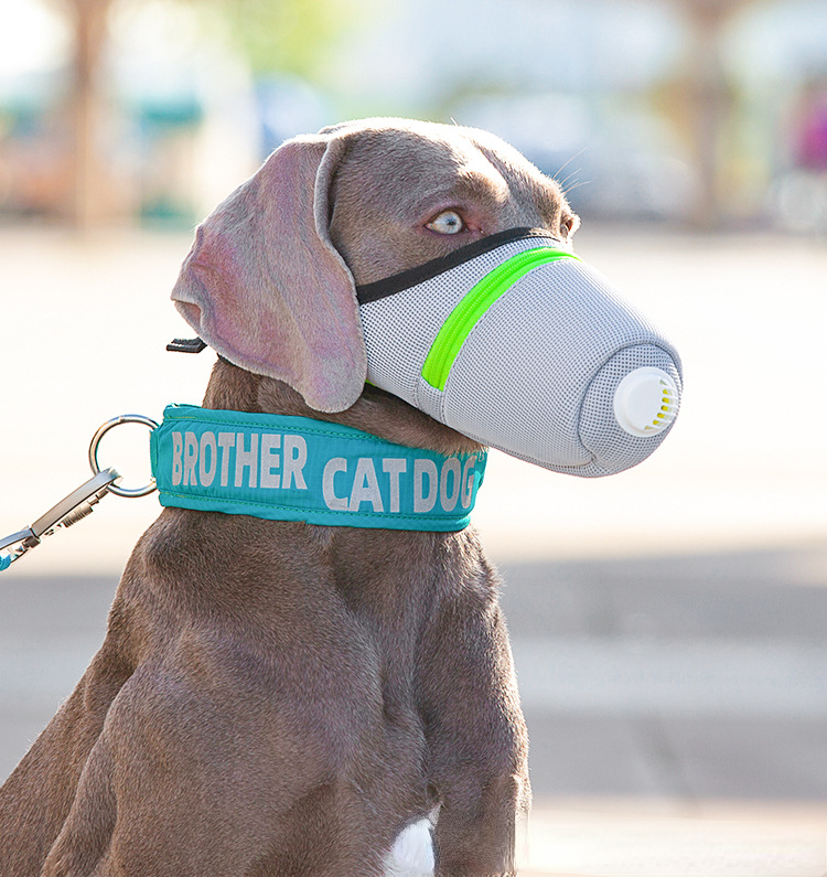 Pet muzzle breathable breather valve pet muzzle