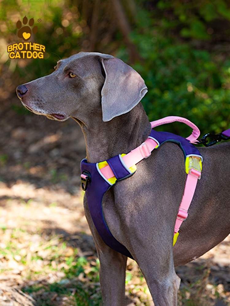 Dog breast strap pet dog hand holding rope explosion-proof strap retractable large dog small dog