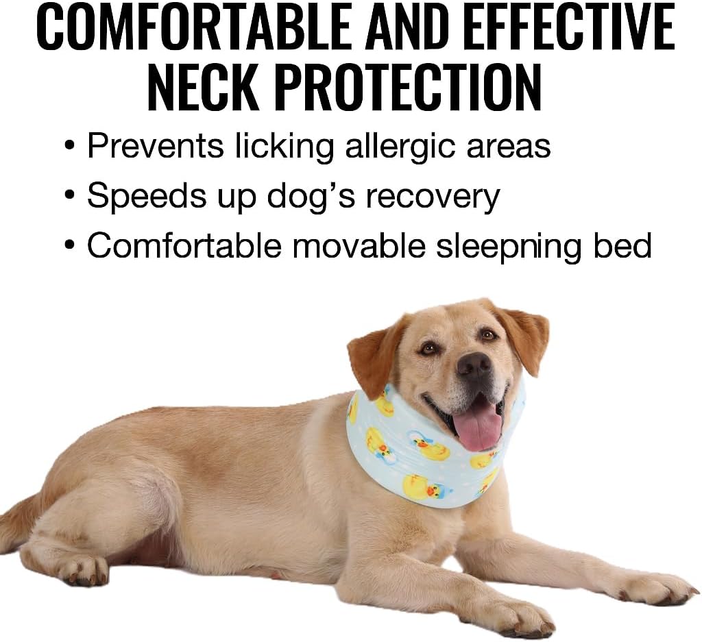Blue Ducks with Hats Print Dog Recovery Collar