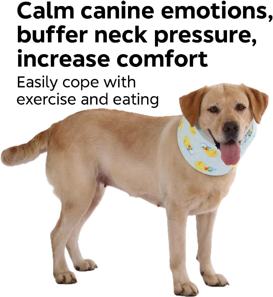 Blue Ducks with Hats Print Dog Recovery Collar