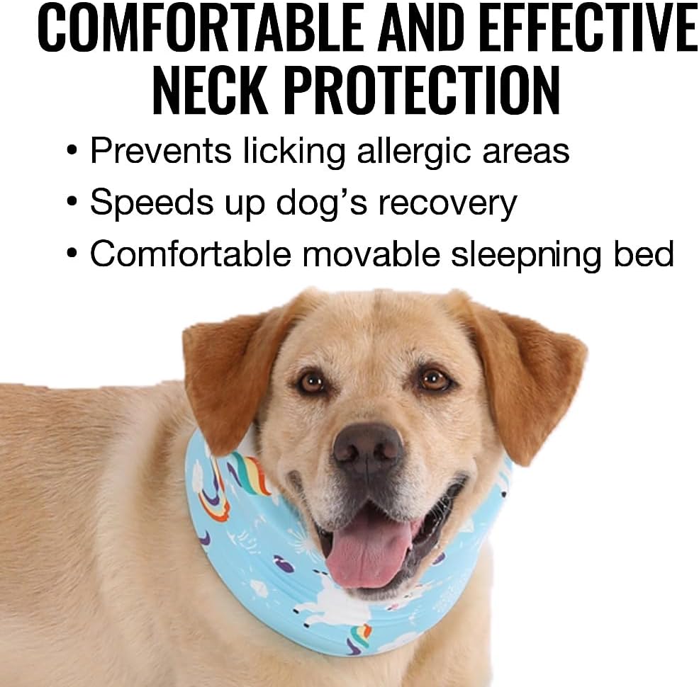 Blue Ducks with Hats Print Dog Recovery Collar