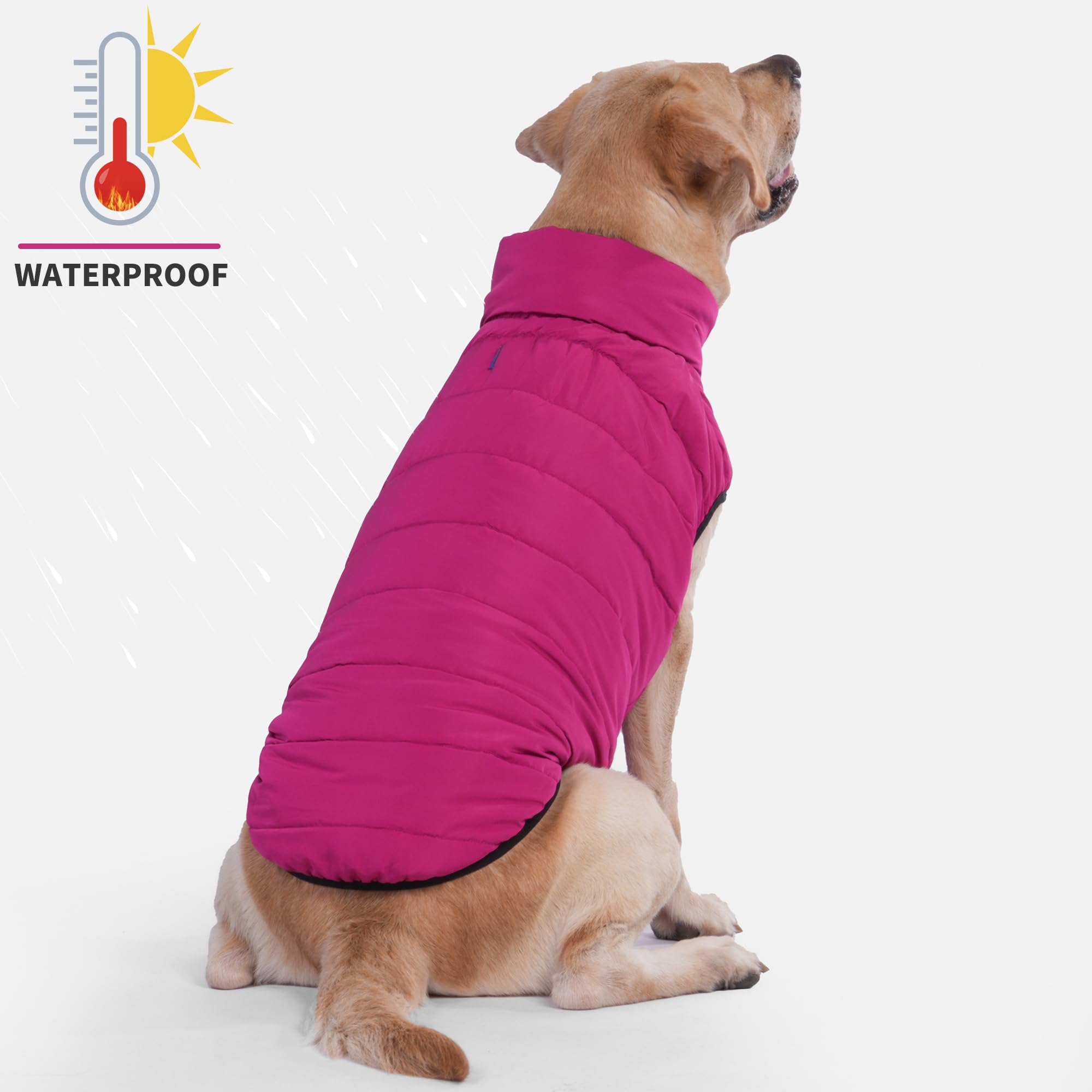 LovinPet Reversible Medium &amp; Large Dog Down Winter Coat - Snap Button Down Jacket, Dual-Sided Blue &amp; Red Design for Cold Weather,XL