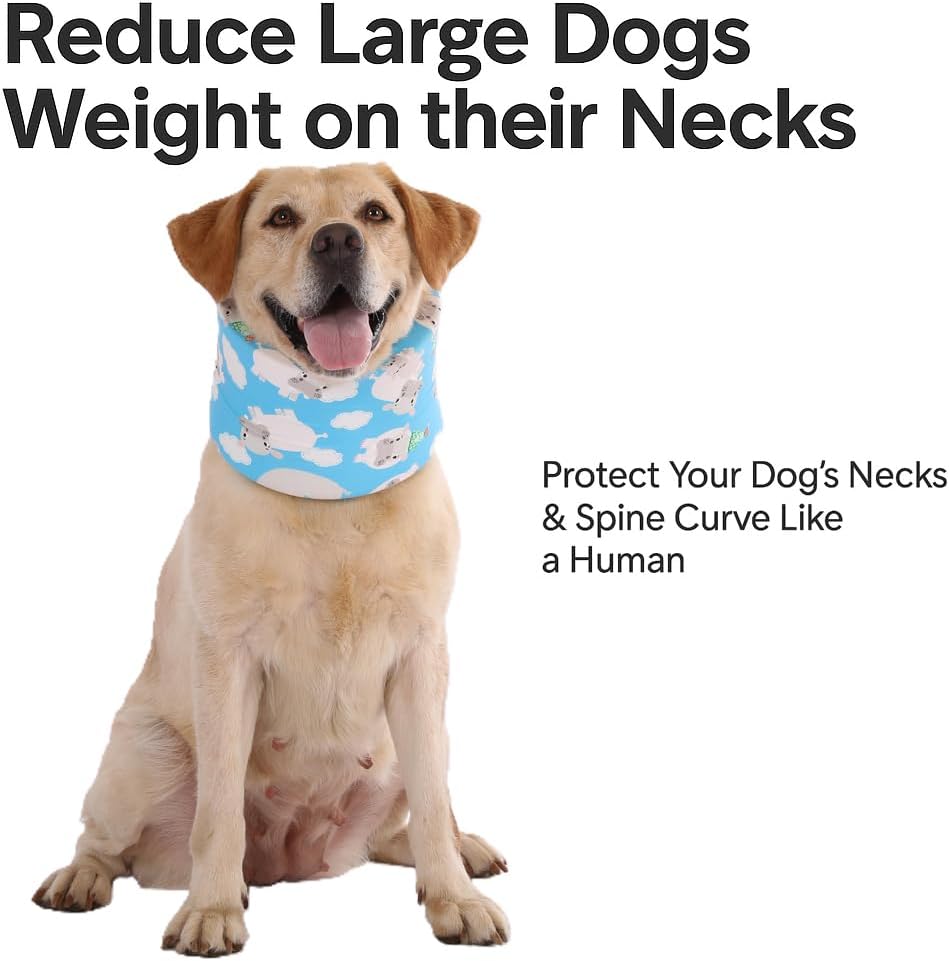 Blue Ducks with Hats Print Dog Recovery Collar