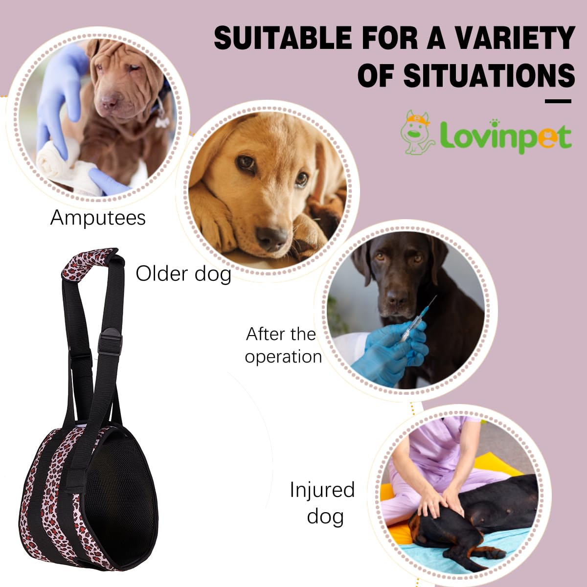 LovinPet Adjustable Dog Lift Harness for Weak Rear Legs|Portable and Comfortable Support Sling|Ideal for Senior,Injured,Disabled Dogs,and Post-ACL Surgery Recovery,Yellow