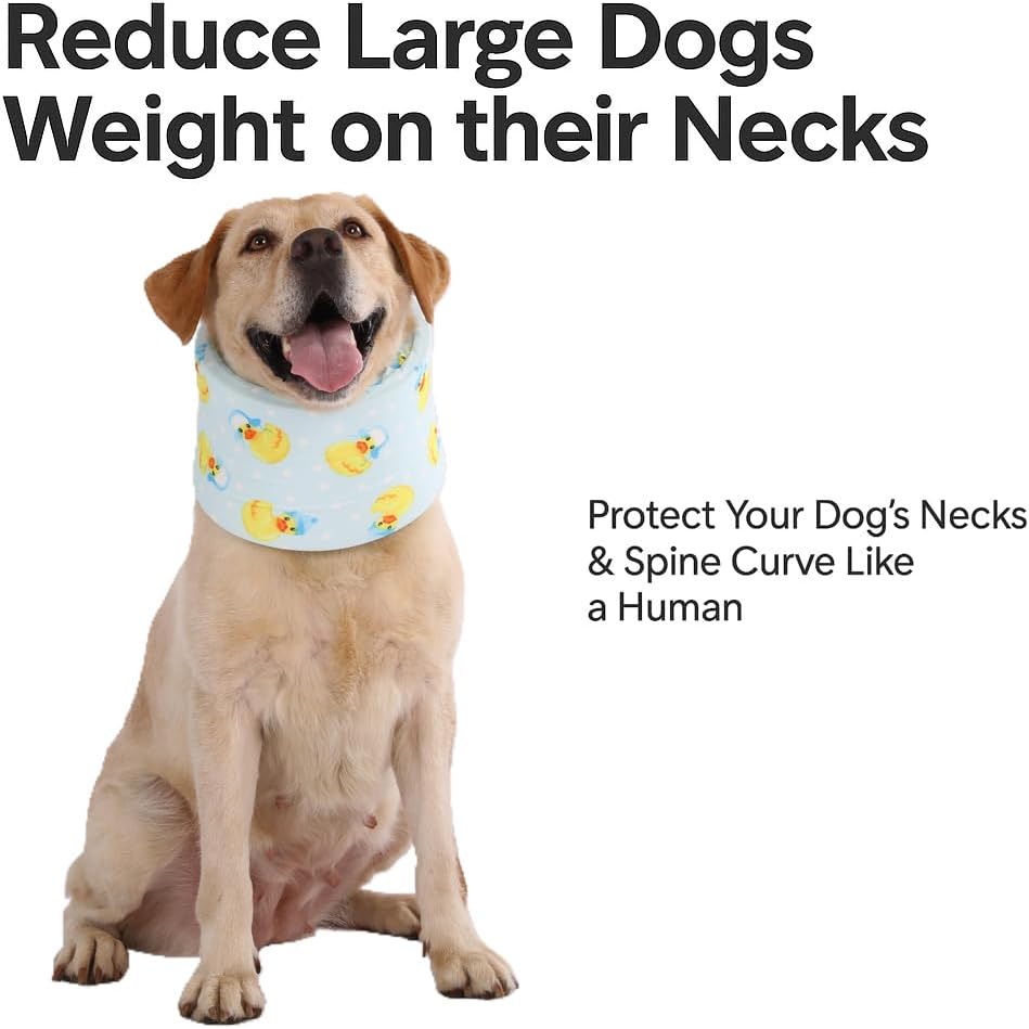 Blue Ducks with Hats Print Dog Recovery Collar