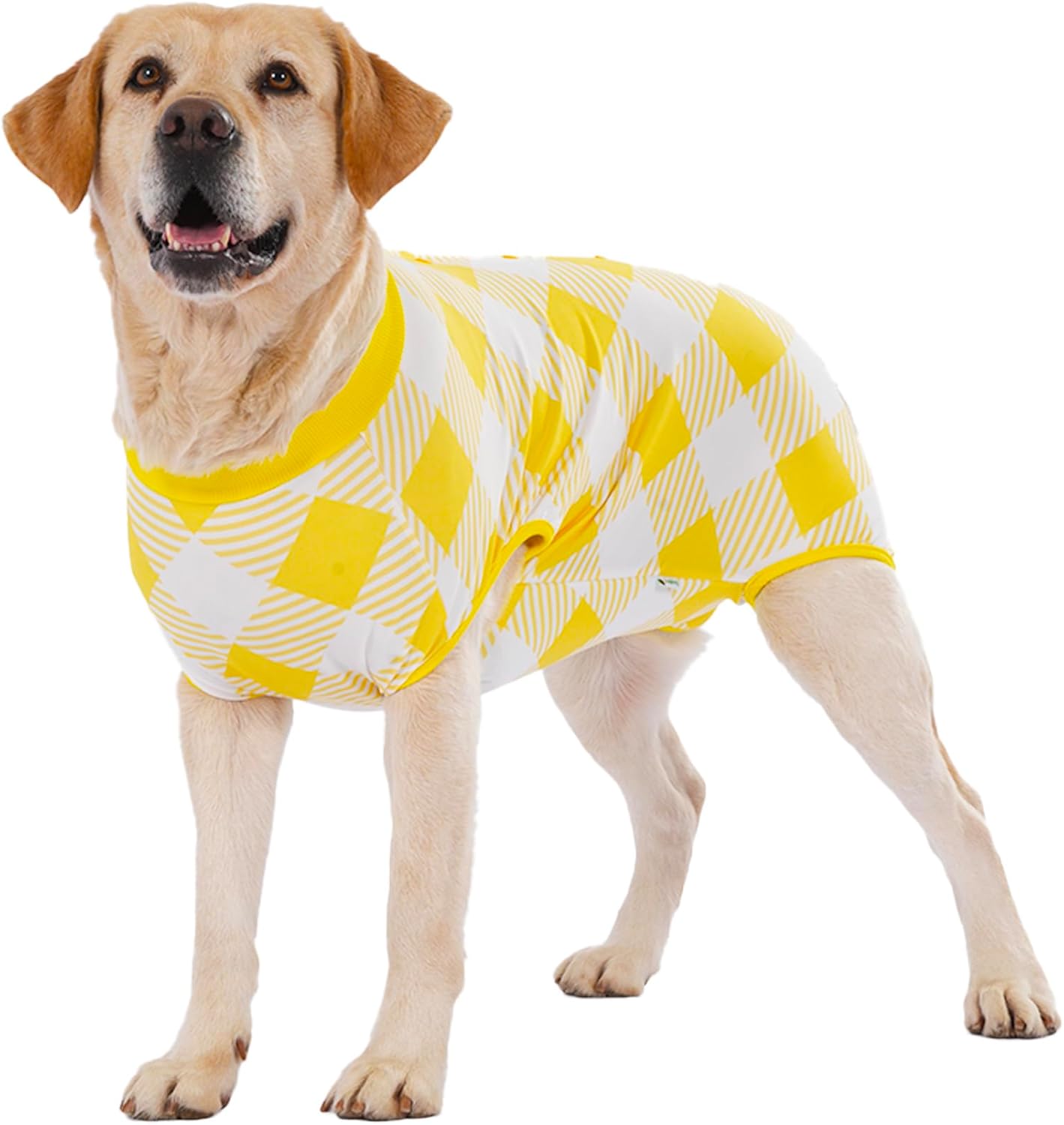 Green Plaid Dog Bodysuit