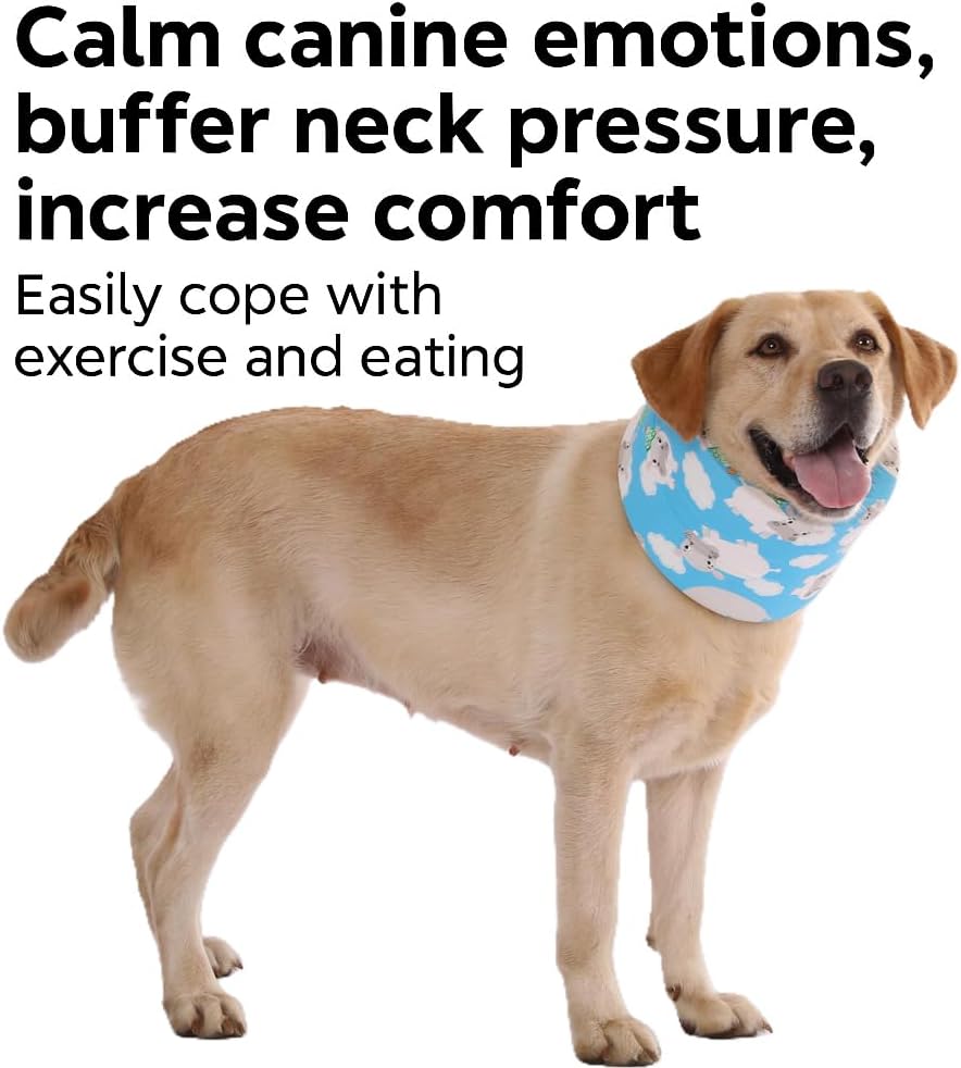Blue Ducks with Hats Print Dog Recovery Collar