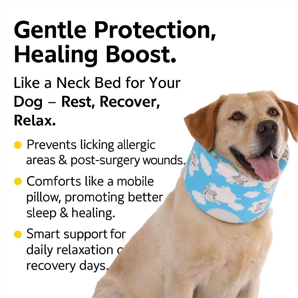Blue Ducks with Hats Print Dog Recovery Collar