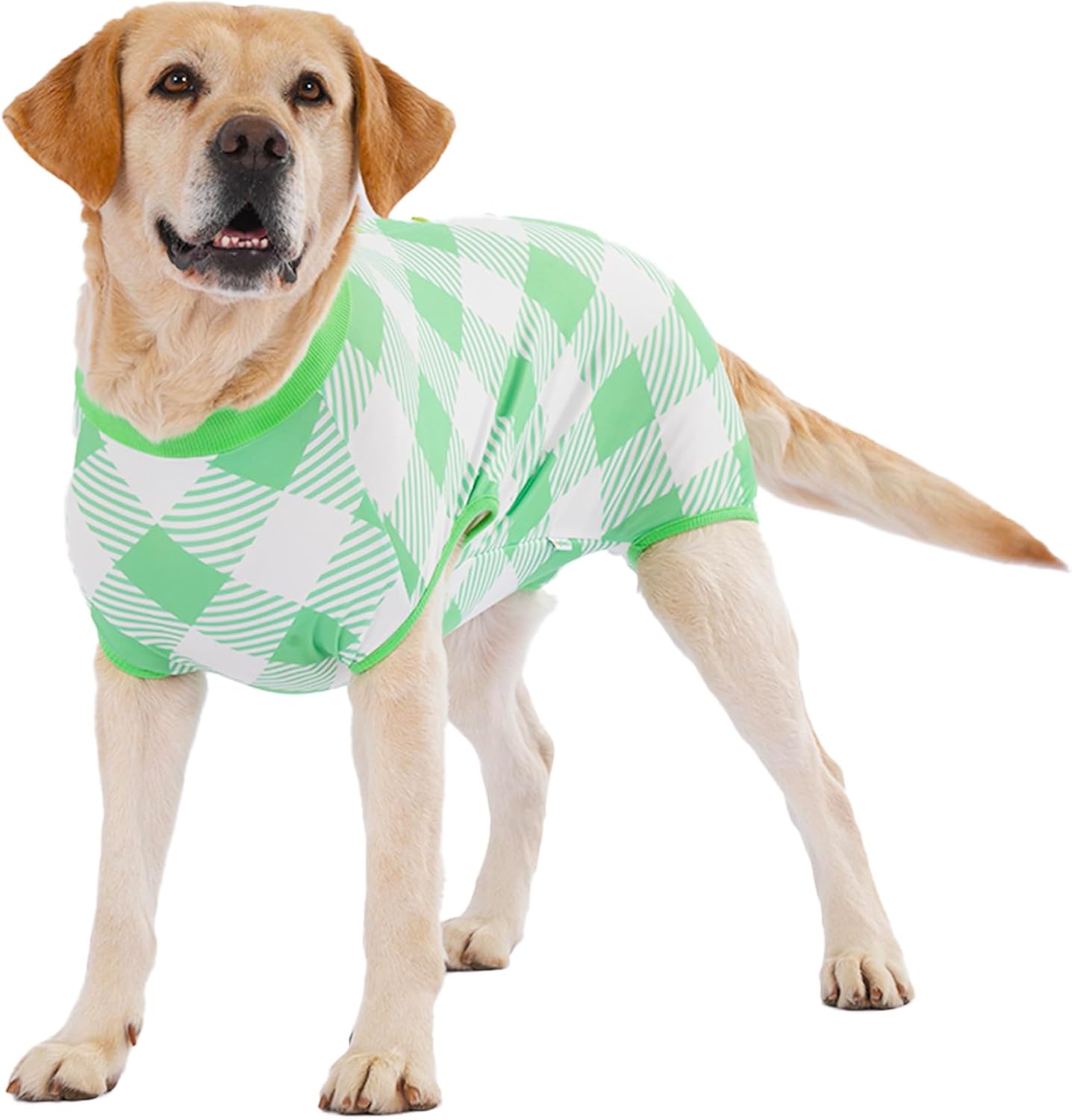 Green Plaid Dog Bodysuit