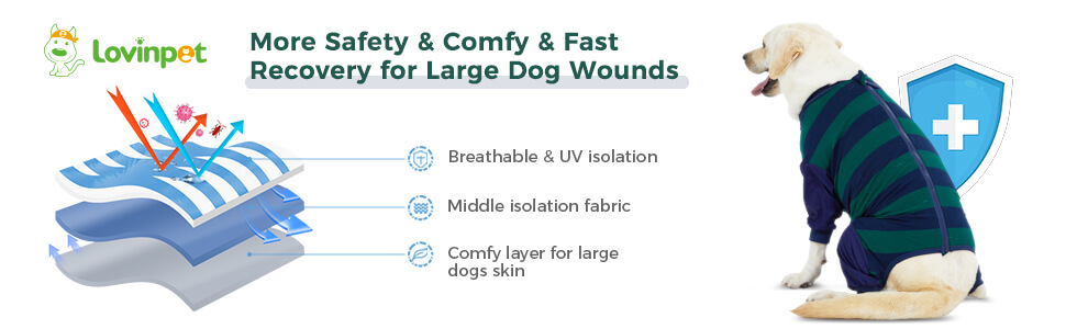 dog recovery suit dog recovery suit female