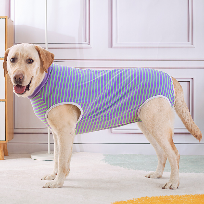 Large dog belly wrap postoperative clothing golden retriever Labrador weaning clothing belly care sterilization clothing anti-licking four-leg vest thin