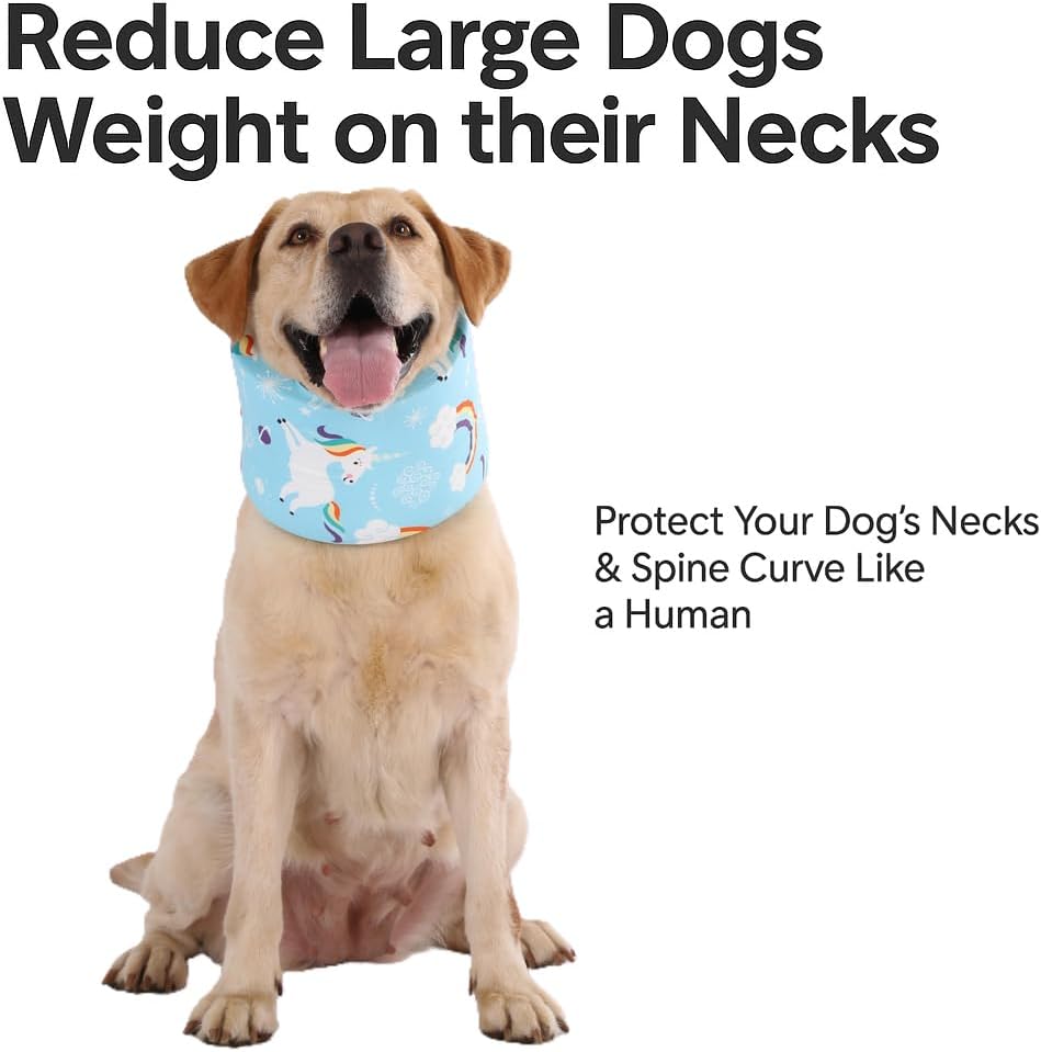 Blue Ducks with Hats Print Dog Recovery Collar
