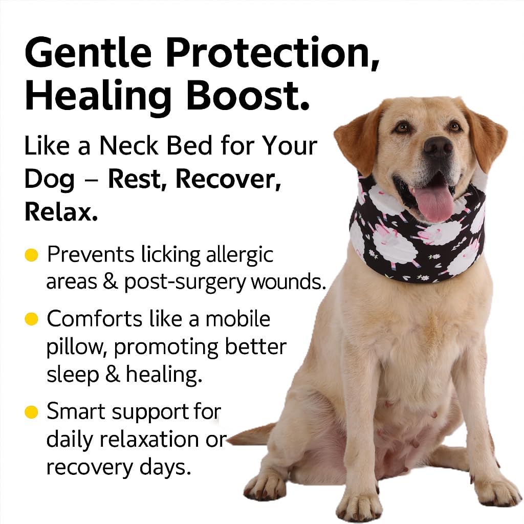 Blue Ducks with Hats Print Dog Recovery Collar