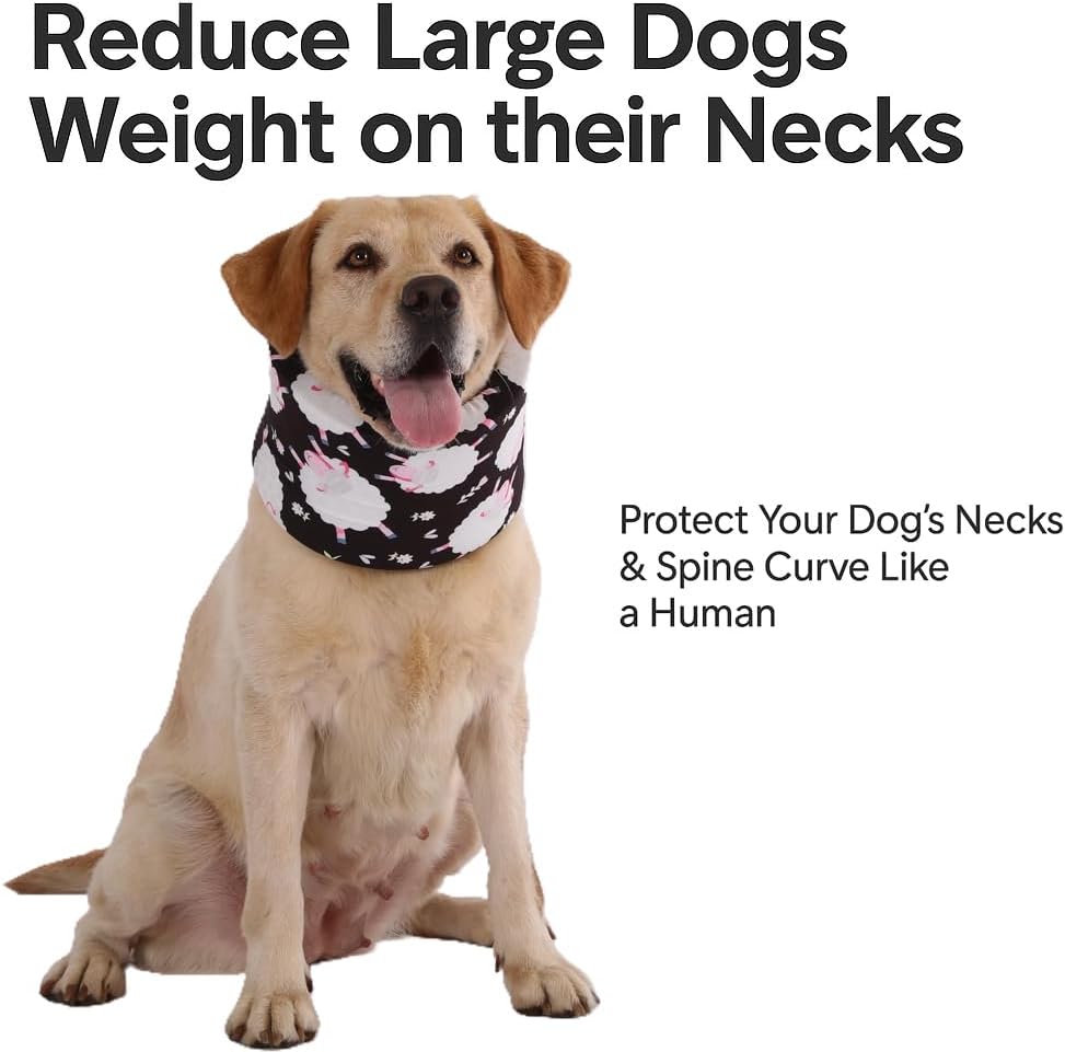 Blue Ducks with Hats Print Dog Recovery Collar