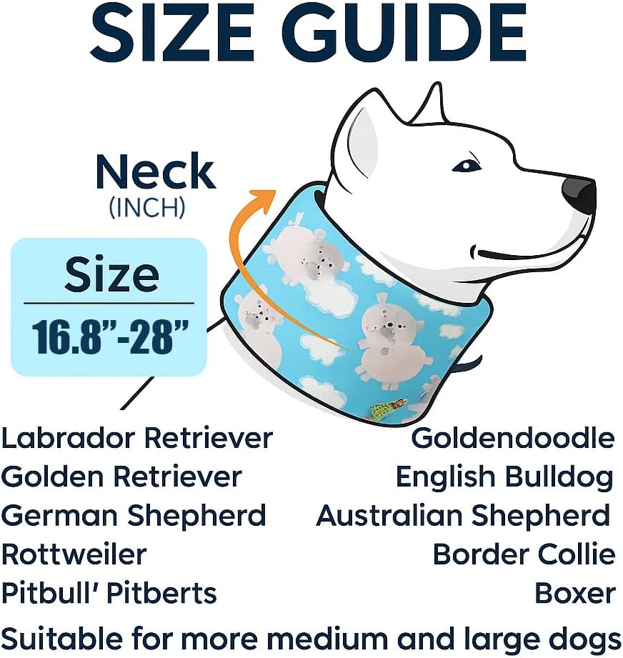 Blue Ducks with Hats Print Dog Recovery Collar