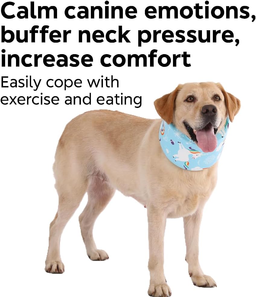 Blue Ducks with Hats Print Dog Recovery Collar