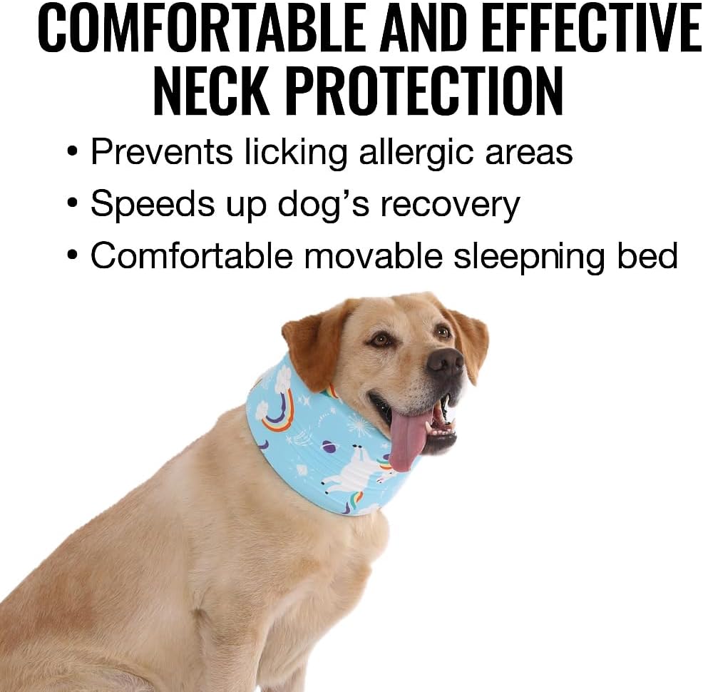 Blue Ducks with Hats Print Dog Recovery Collar