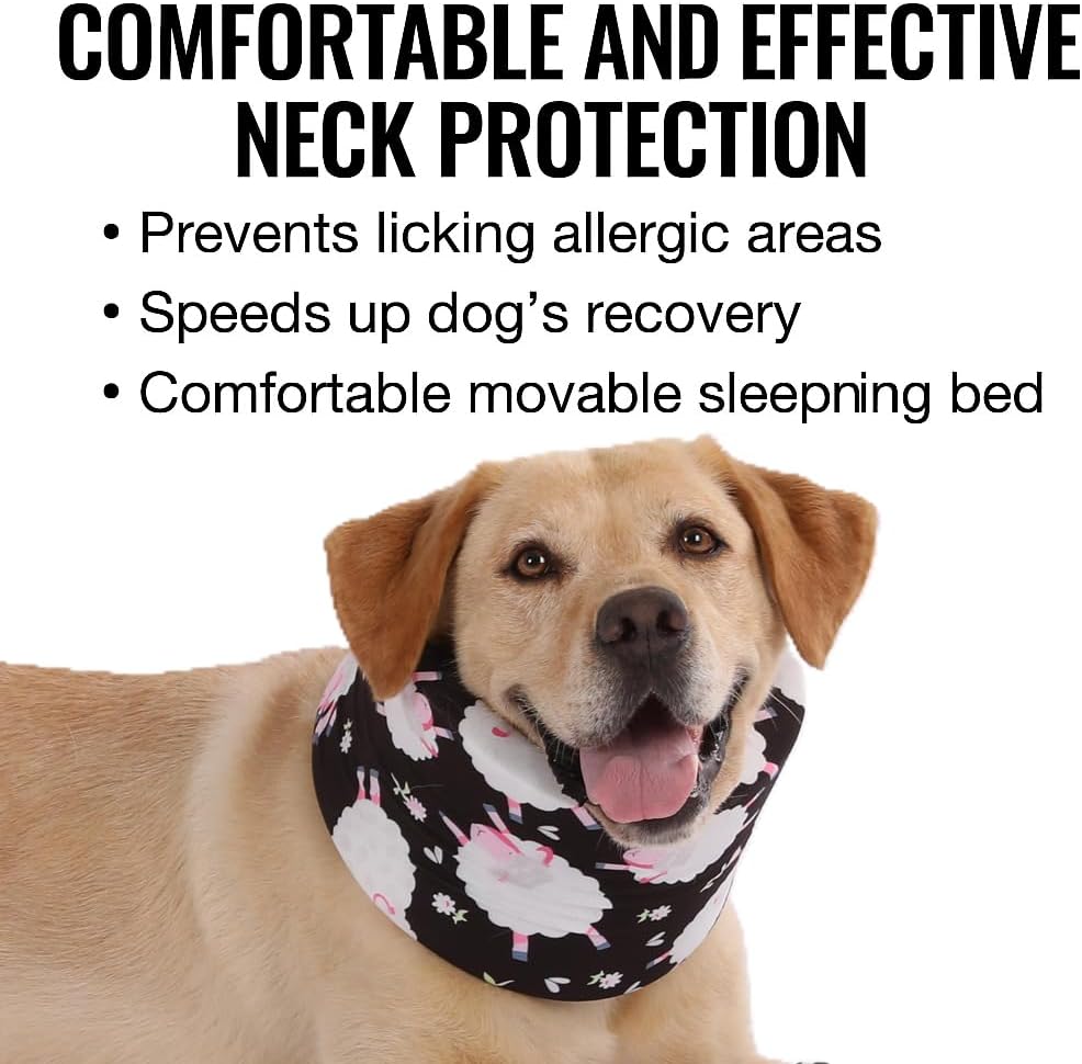 Blue Ducks with Hats Print Dog Recovery Collar