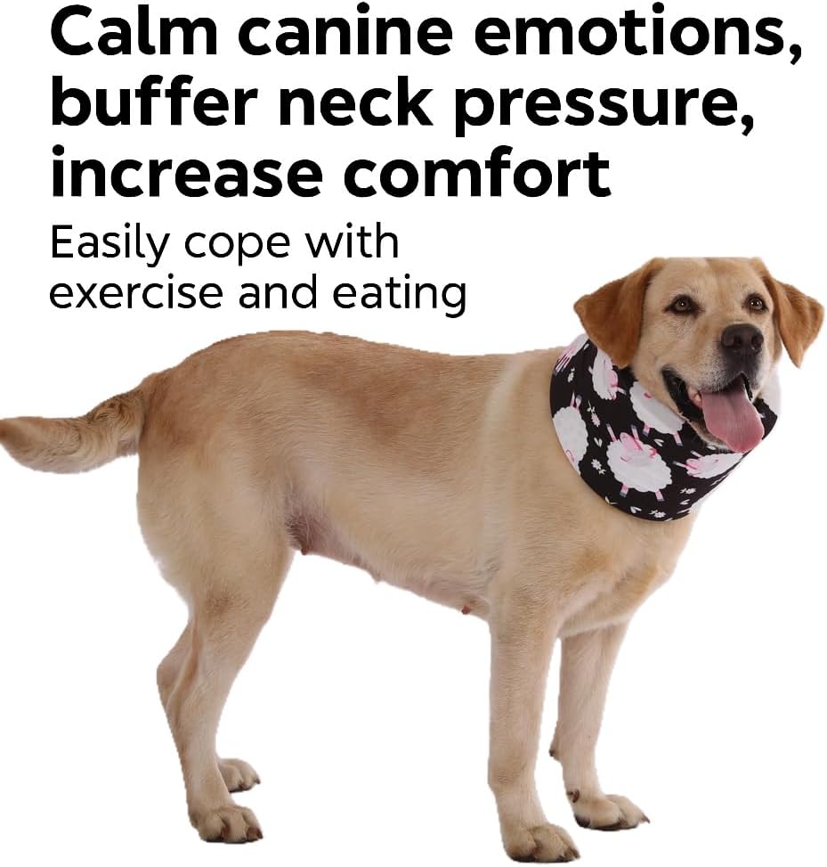 Blue Ducks with Hats Print Dog Recovery Collar