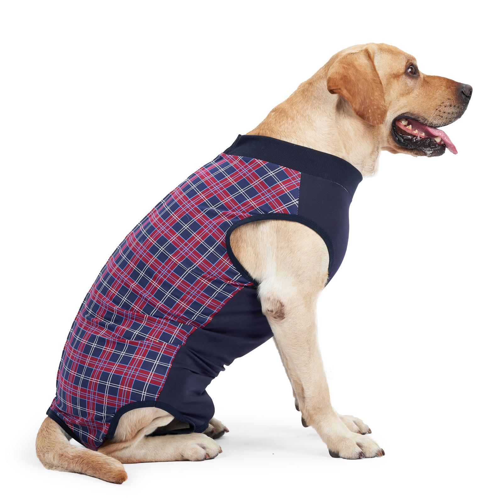 Post-Surgery Recovery Suit | Female Dog Sterilization Gown