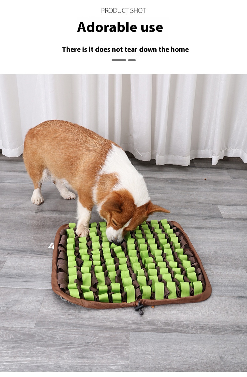 PD50105鍗囩骇鍔犲瘑鑰愬挰鐙楃嫍鍡呴椈纰梍07