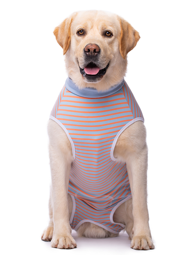 Large dog belly wrap postoperative clothing golden retriever Labrador weaning clothing belly care sterilization clothing anti-licking four-leg vest thin