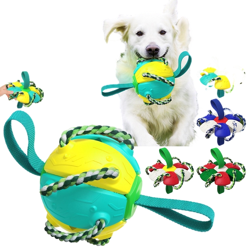 Outdoor Frisbee interactive football training dog toys