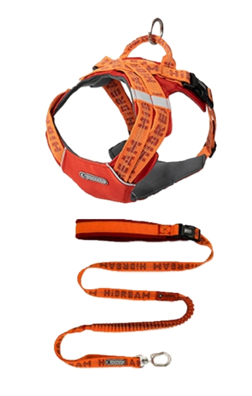 Dog dog chest and back vest-style free hands waist pull dog leash explosion-proof pet hand holding rope