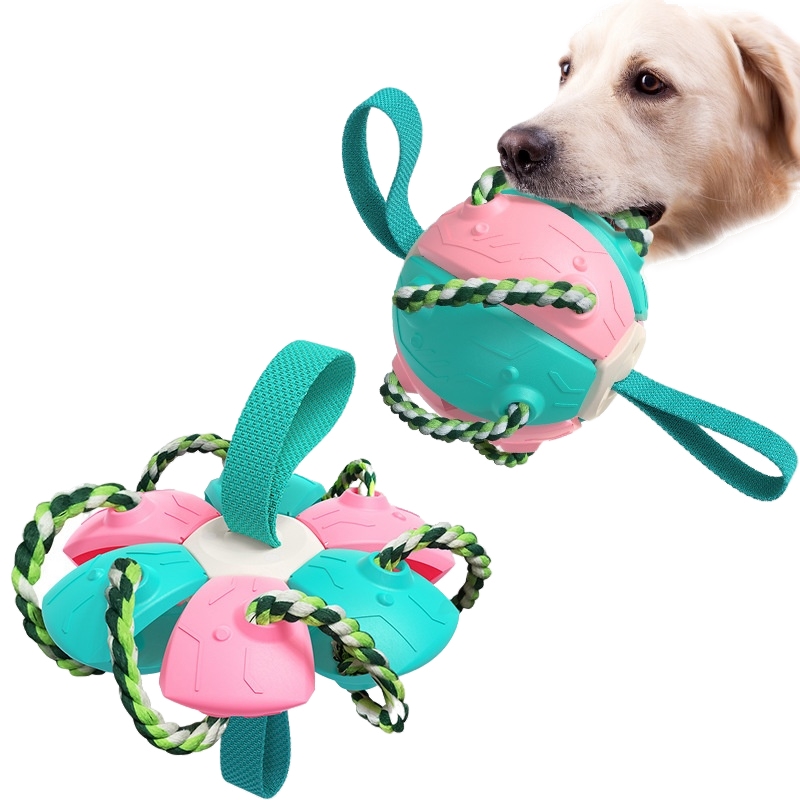 Outdoor Frisbee interactive football training dog toys