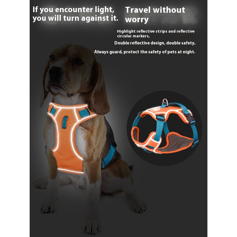 Dog hand holding rope vest-style chest strap outing strap dog harness small large dog Labrador dog leash