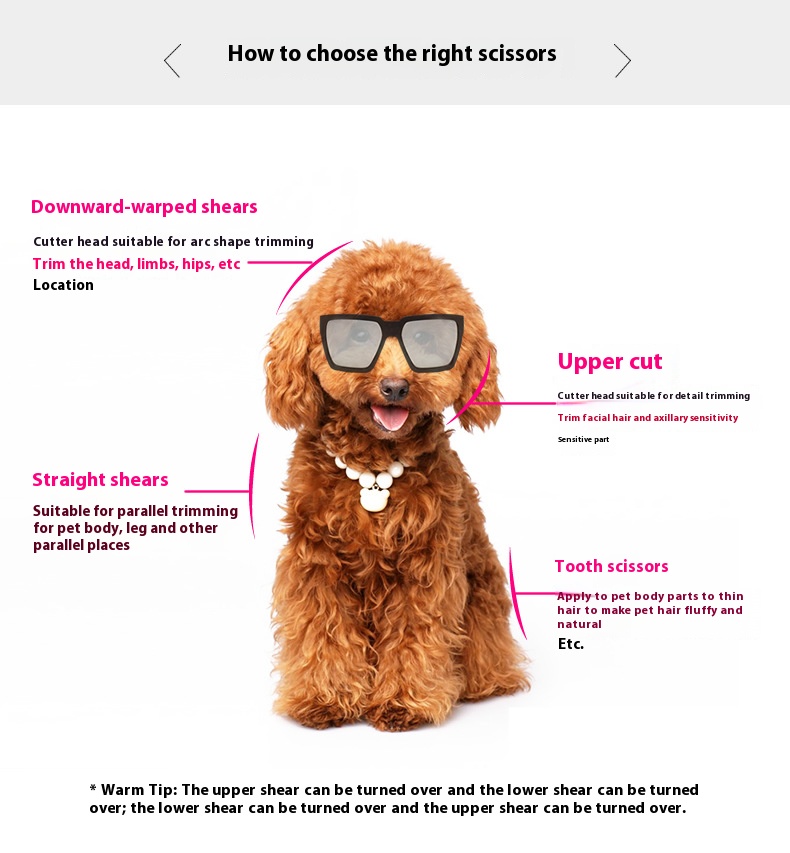 绮夎壊濂楄_r3_c1