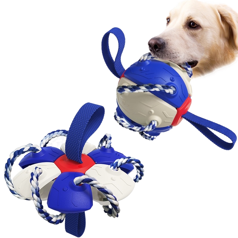 Outdoor Frisbee interactive football training dog toys