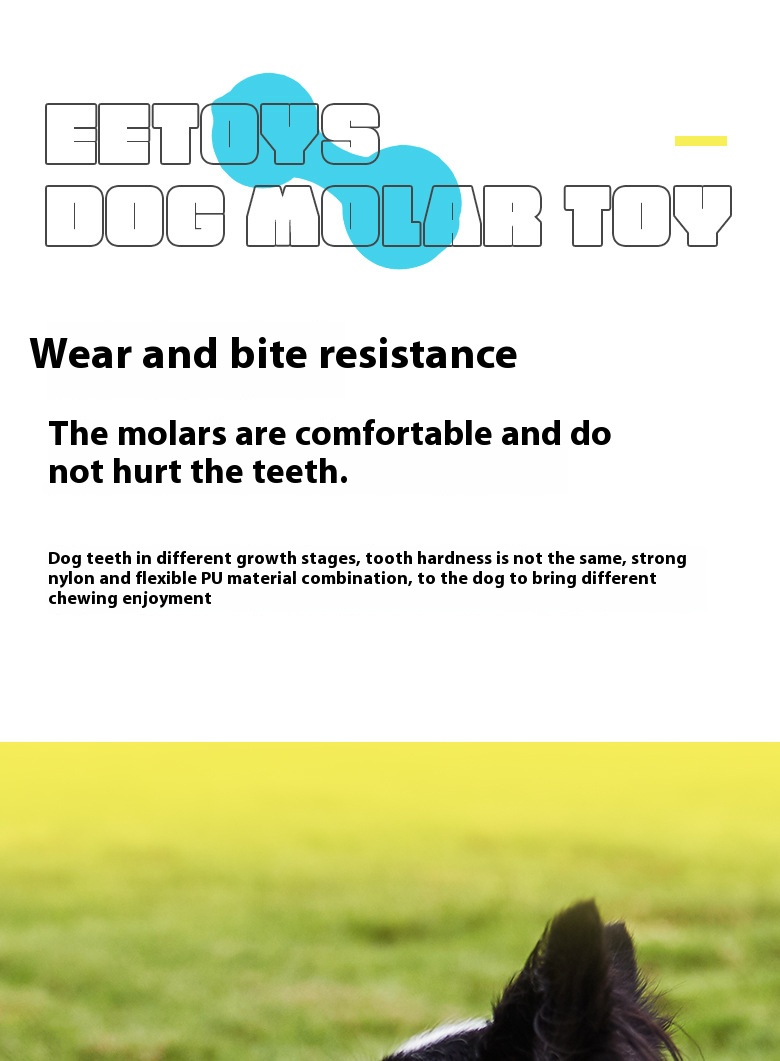 i2aWi/+syNQCDNrwBMfKHA9DqmPWYgyI6BGq