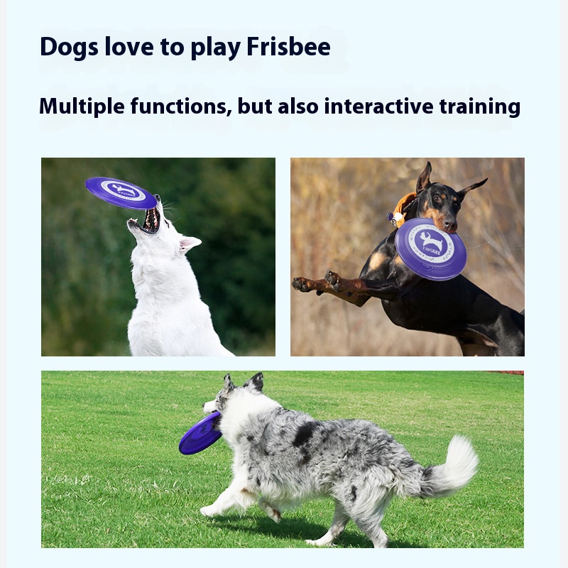 Pet toys new product professional training standard Frisbee throwing interactive bite-resistant lag-free interactive ranking Frisbee supplies