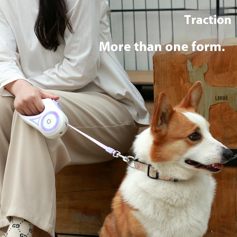 Dog hand holding rope small and medium-sized dogs with light automatic retractable dog leash dog leash Teddy Corgi outing pet supplies