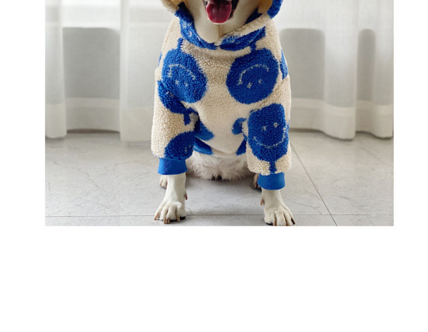 Trendy Winter Dog Hoodies for Large Dogs | Warm & Cozy