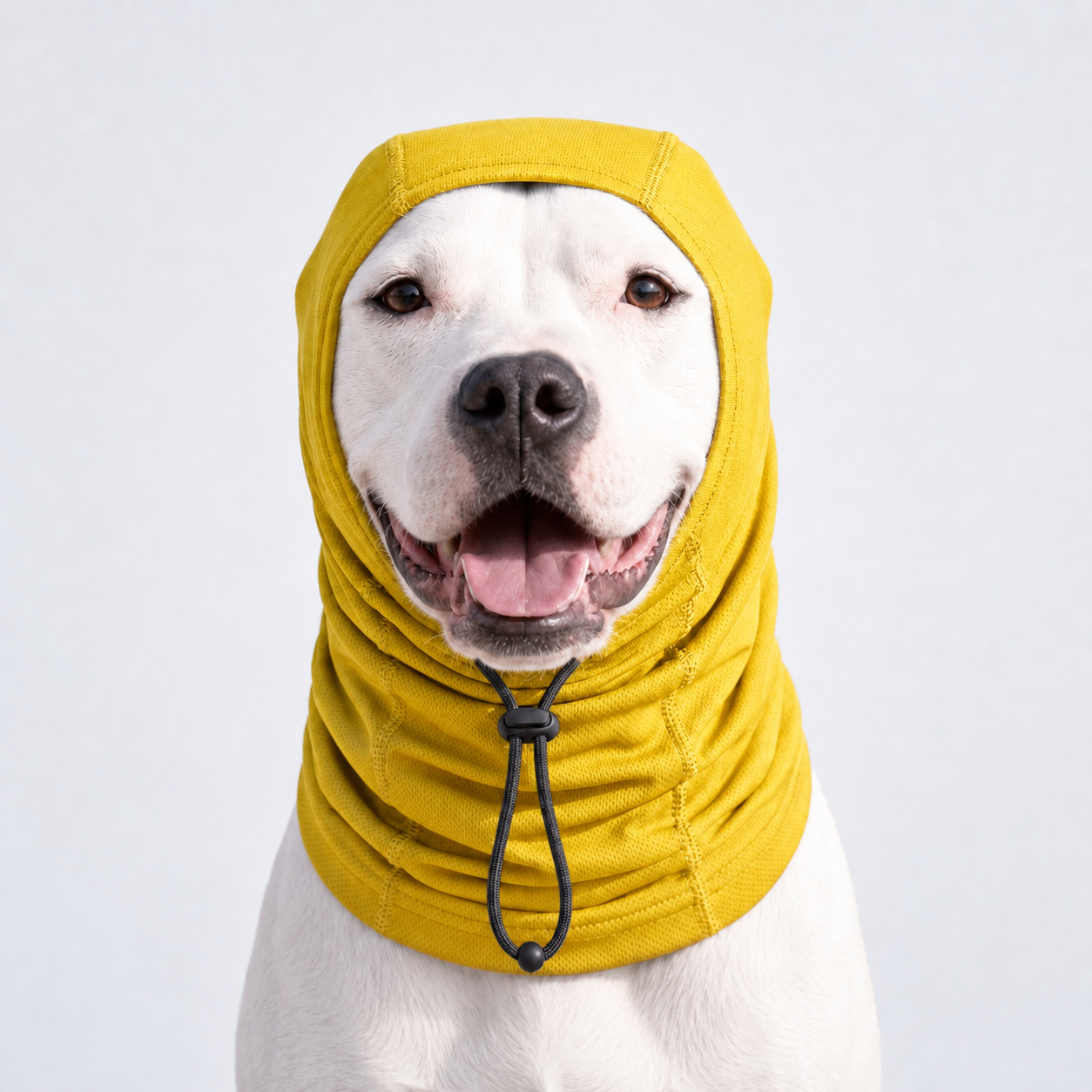 UPF50+ Dog Neck & Head Sun Protection Cover for Outdoor Walking