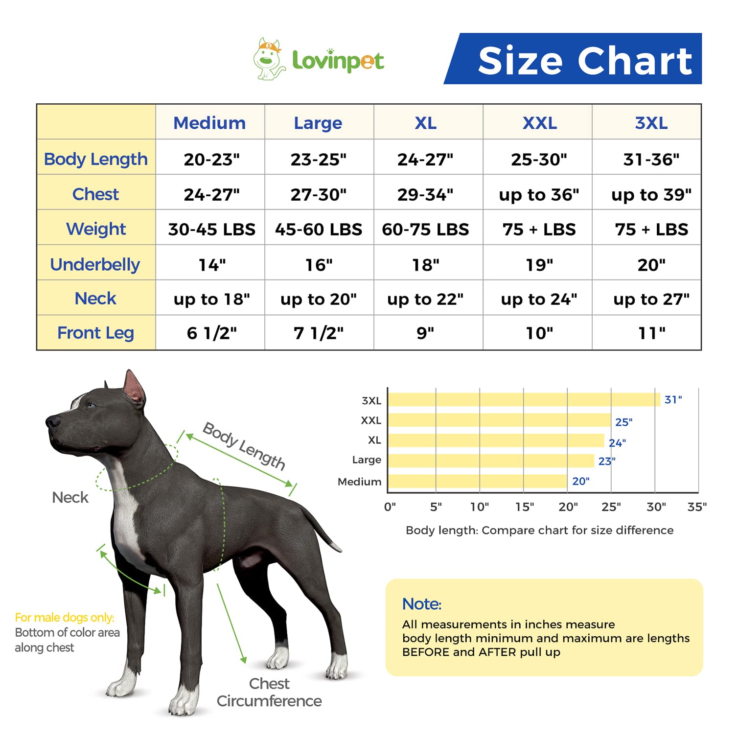 LovinPet Large Dog Post Recovery Suit - Nautical Stripes, Candy Stripes, Sporty Stripes Design