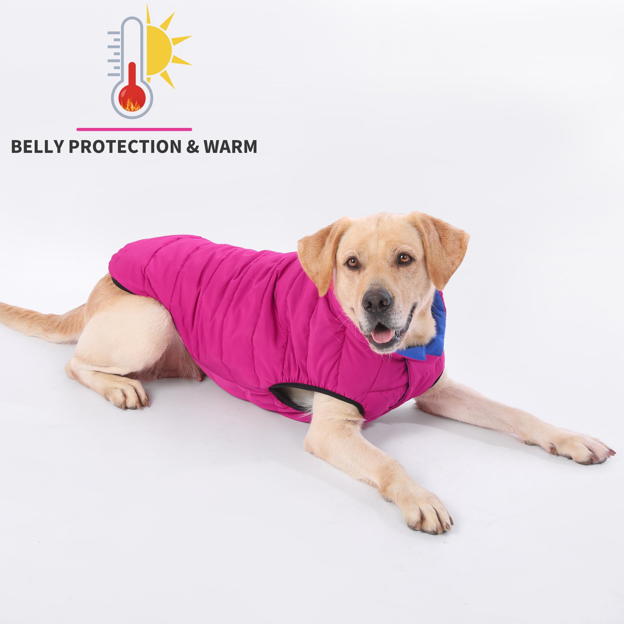 LovinPet Reversible Medium &amp; Large Dog Down Winter Coat - Snap Button Down Jacket, Dual-Sided Blue &amp; Red Design for Cold Weather,XL